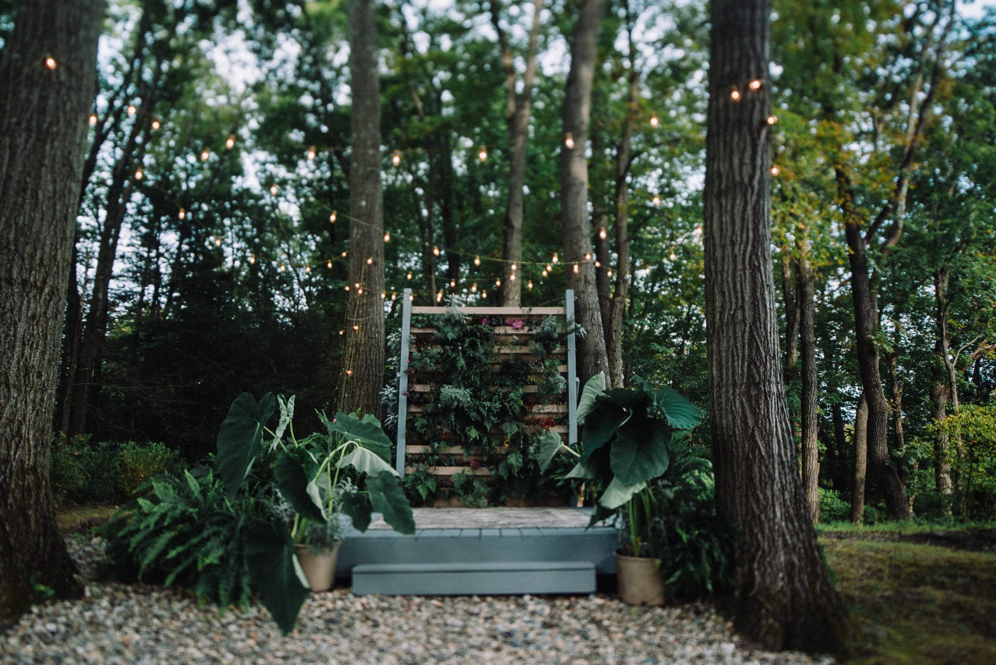 The Living Wall at Promise Ridge outdoor wedding space