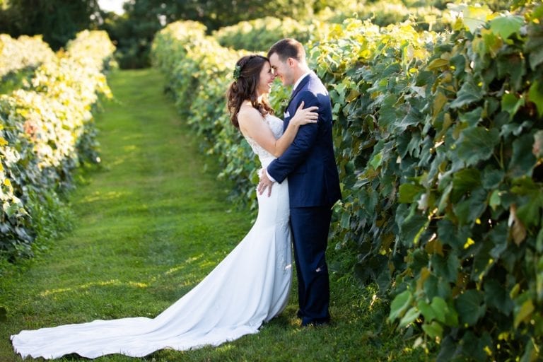Happy wedding couple embraces in the lush Virginia vineyard vines at Bluemont Vineyard in summer.